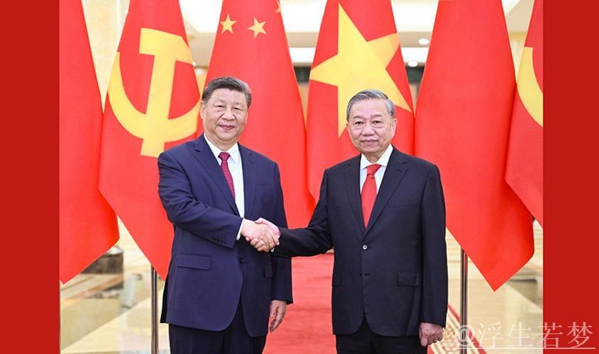 习近平同越共中央总书记苏林举行会谈 习近平同越共中央总书记苏林举行会谈
